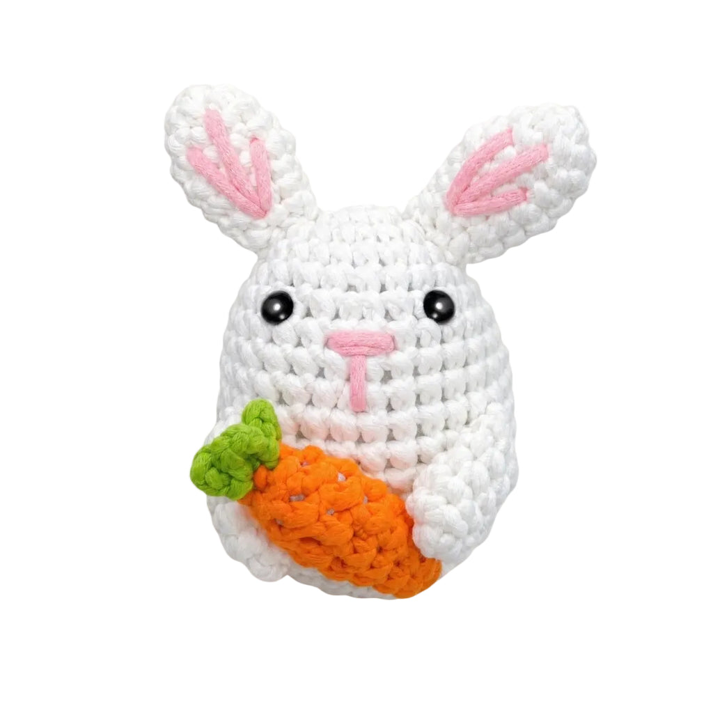 Carrot Keeper Mini Crochet Kit