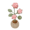 Mini Rose Crochet Kit